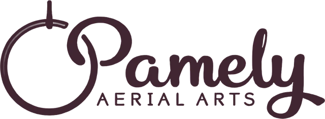 Pamely Aerial Arts